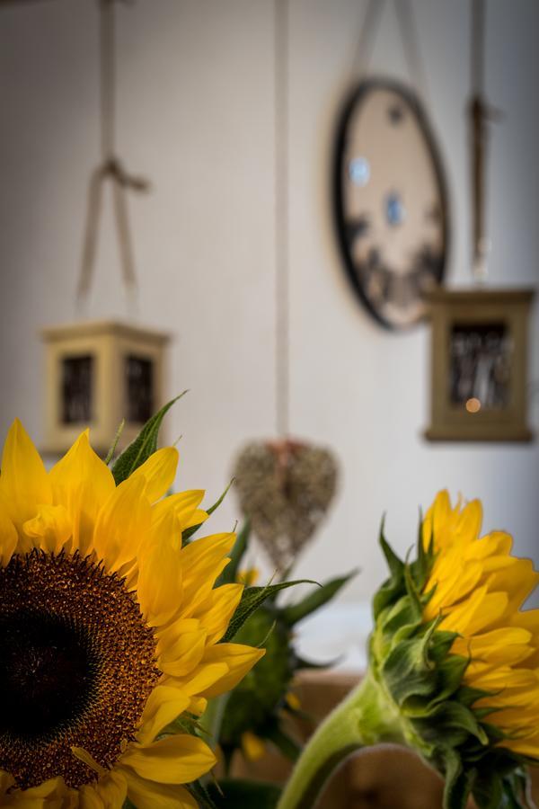 Cracow Best Location Apartment By Cozyplace Krakkó Kültér fotó